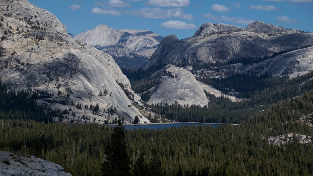 Чем можно заняться в национальном парке Йосемити